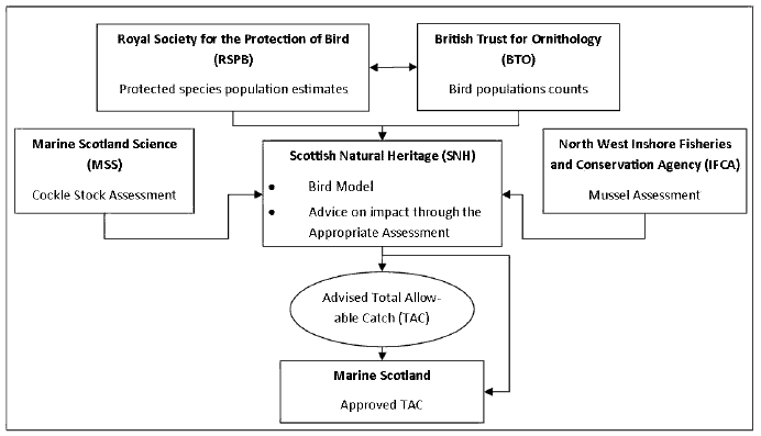 Figure 3: Roles of key governing agencies
