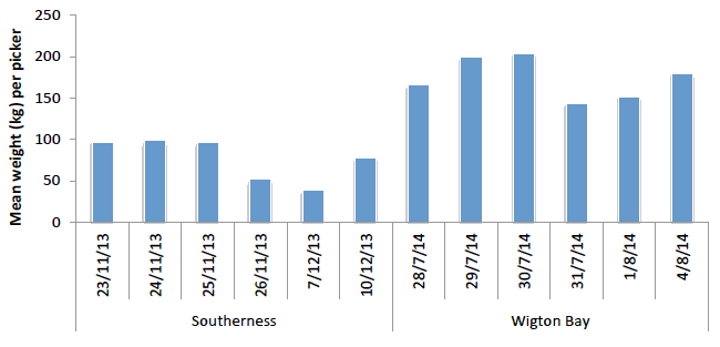 Figure 9: Mean weight per picker per fishing day. 