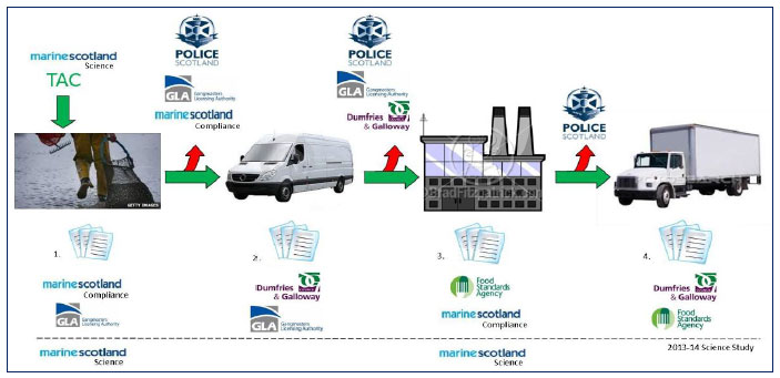 Figure 11: Diagram of the business model and responsible agencies for a fully documented fishery. Green arrows are the legal movement of cockles, red arrows are the illegal movement of cockle and the responsible enforcement agency.