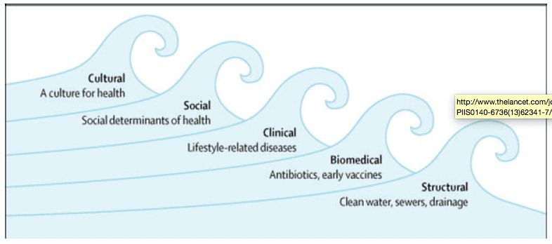 Table 2 Making the case for a fifth wave in public health