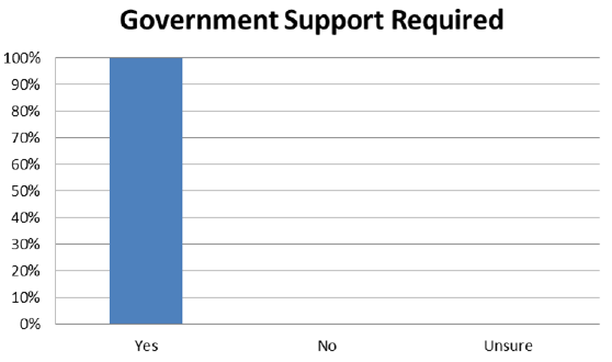 Bar Chart: Government Support Required Bar Chart: Government Support Required