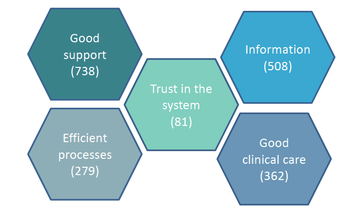 Figure 1: Positive aspects of care (number of comments) Figure 1: Positive aspects of care (number of comments)