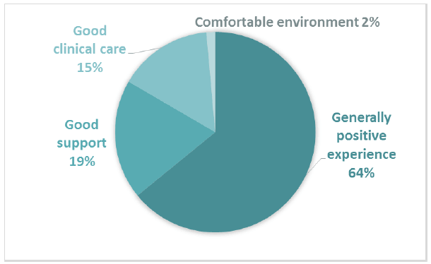 Figure 9 Positive subthemes for Comment Box 4 – The care you received when you had an operation or stayed overnight in hospital Figure 9 Positive subthemes for Comment Box 4 – The care you received when you had an operation or stayed overnight in hospital