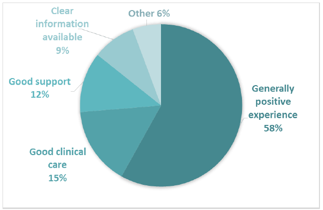 Figure 11 Positive subthemes for Comment Box 5 – The day patient/outpatient care you received