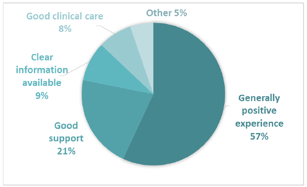 Figure 13 Positive subthemes for Comment Box 6 – Chemotherapy/Radiotherapy treatment Figure 13 Positive subthemes for Comment Box 6 – Chemotherapy/Radiotherapy treatment