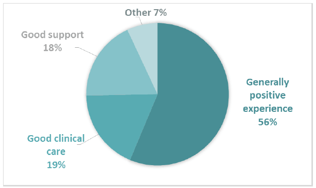Figure 15 Positive subthemes for Comment Box 7 – Experience of cancer care Figure 15 Positive subthemes for Comment Box 7 – Experience of cancer care