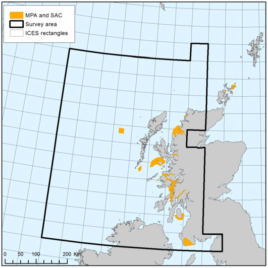 Figure 3: Map of 'study area'- ICES area VIa and rectangles 38E4, 38E5 and 38E6 in ICES area VIIa Figure 3: Map of 'study area'- ICES area VIa and rectangles 38E4, 38E5 and 38E6 in ICES area VIIa