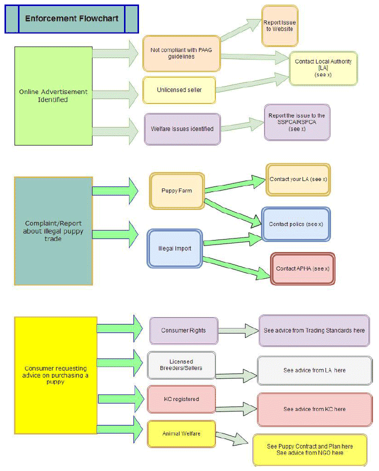 Enforcement Flowchart