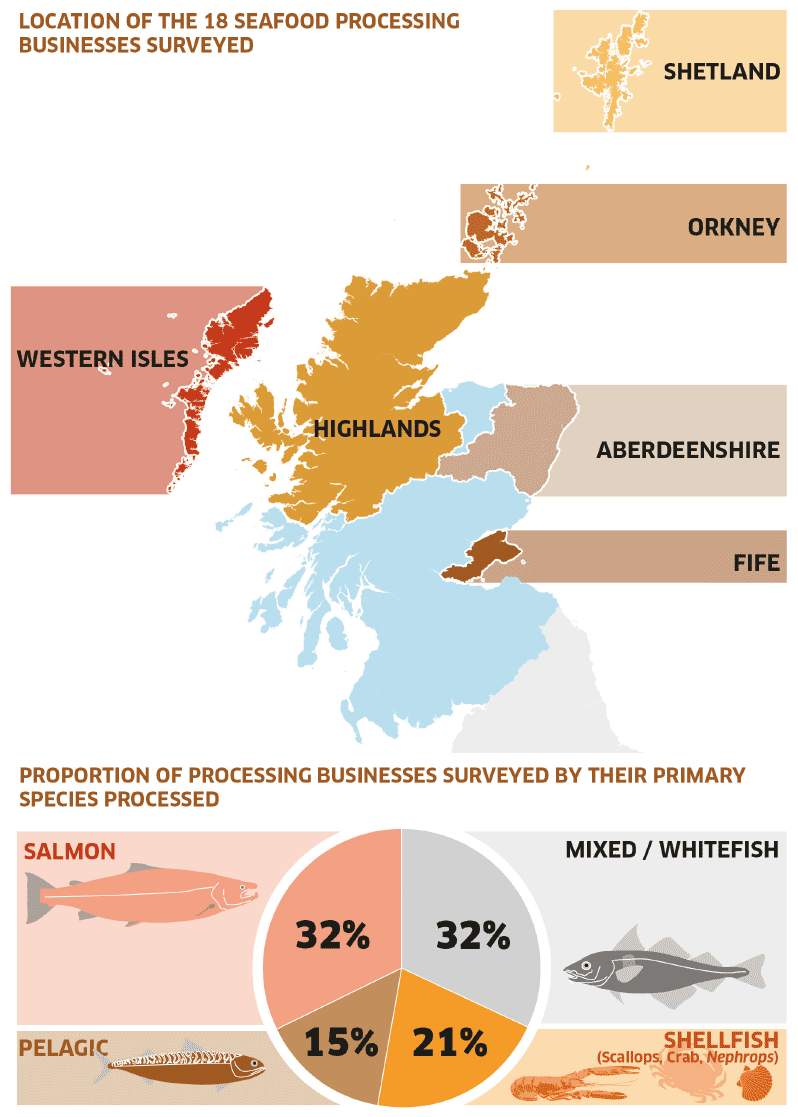 Figure 1: Details of sampled processing businesses referenced in this report