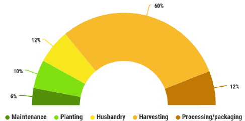 Figure 27: Seasonal migrant labour use by task on business respondent farms