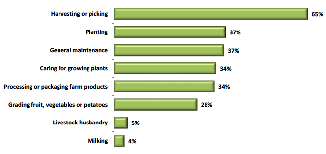 Figure 28: Day-today activities undertaken by seasonal migrant survey respondents