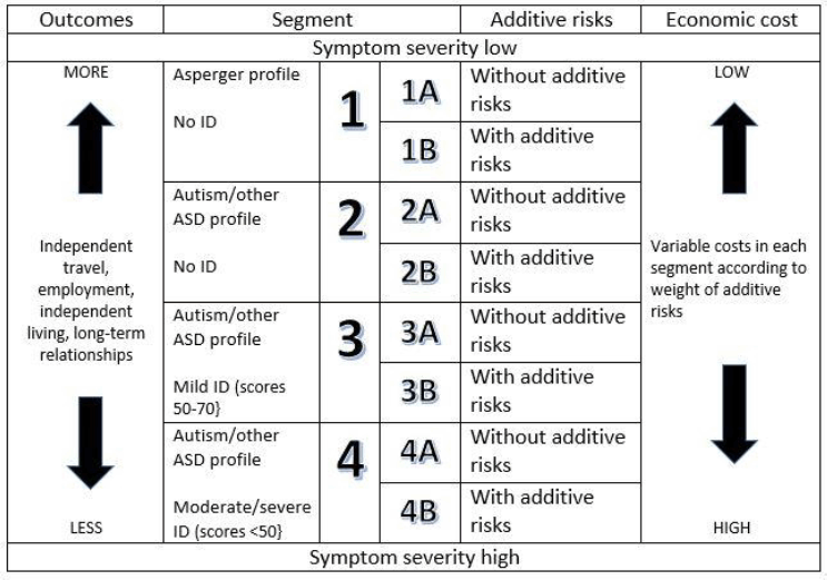 Figure 9.1 The autism spectrum: microsegmentation matrix