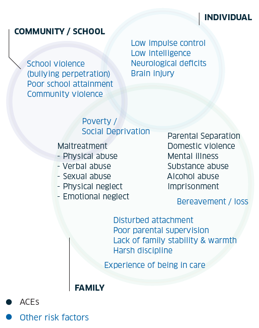 ACEs and childhood risk factors for Criminality