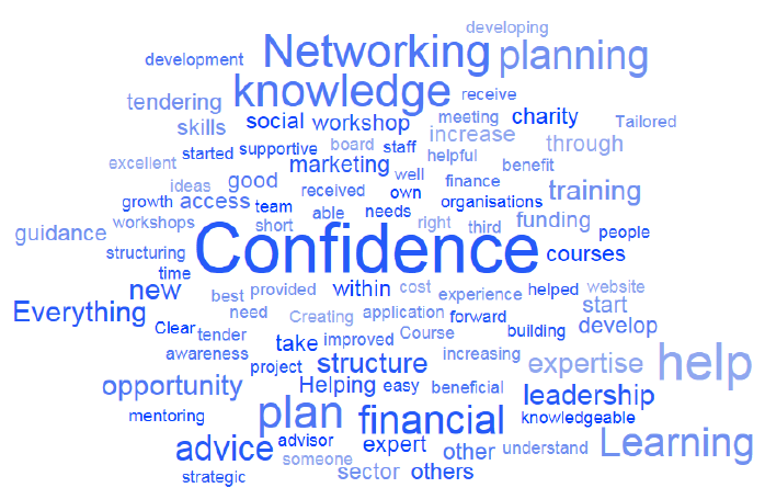 Figure 3.5: Survey word cloud