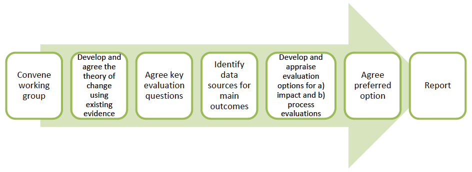Figure 1: Evaluability assessment steps Figure 1: Evaluability assessment steps