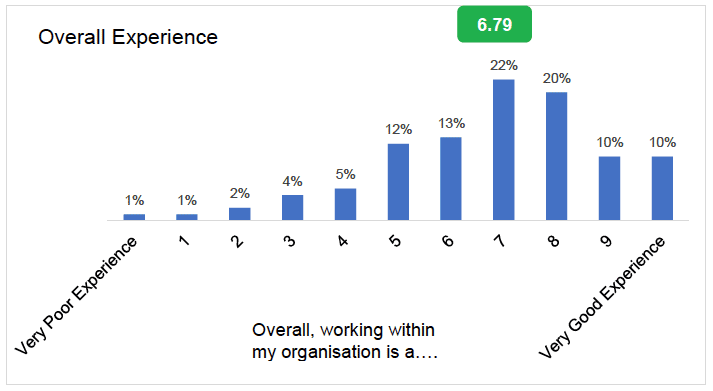 Overall Experience