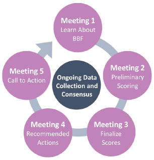 Figure 2: BBF 5 meeting process Figure 2: BBF 5 meeting process