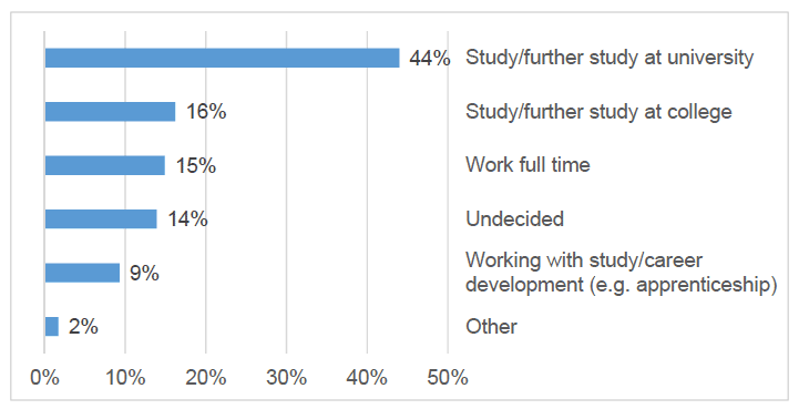 Figure 18: Respondents' future plans