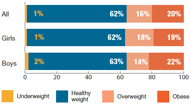 Children’s BMI classifications Children’s BMI classifications