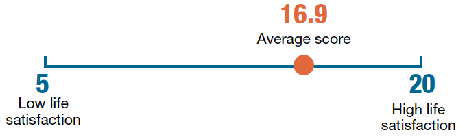 On average, children scored 16.9 on the life satisfaction scale On average, children scored 16.9 on the life satisfaction scale