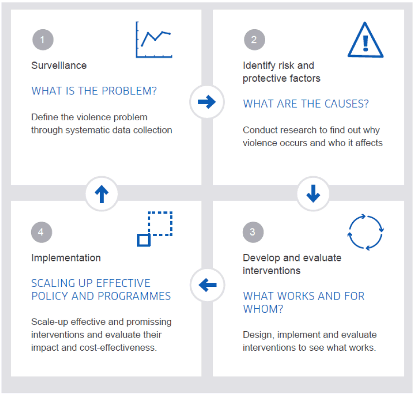 Figure 1: The steps of the public health