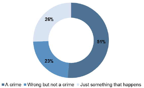 Figure 19: Victim's description of violent crime incidents experienced.