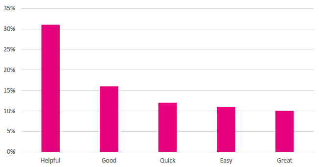 Recurring open text feedback words - Best Start Grant telephone applications December 2018 to June 2019