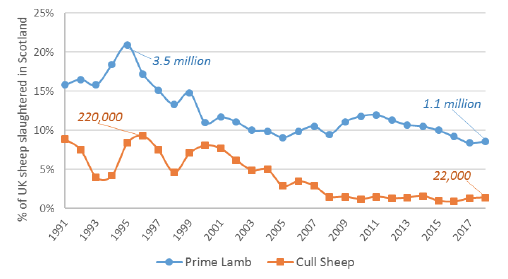 Figure 5 Scottish proportion of UK sheep slaughterings Figure 5 Scottish proportion of UK sheep slaughterings