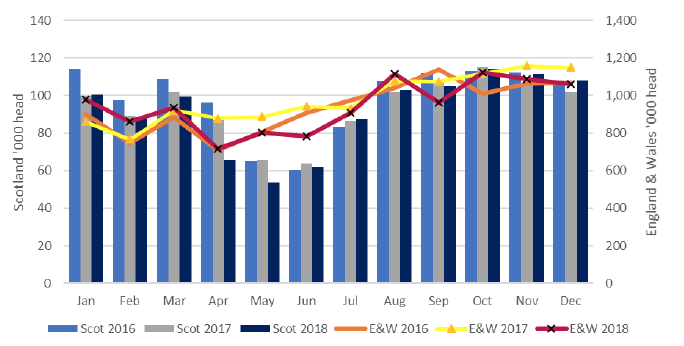 Figure 8 Monthly kill of lambs in Scotland compared to England & Wales Figure 8 Monthly kill of lambs in Scotland compared to England & Wales