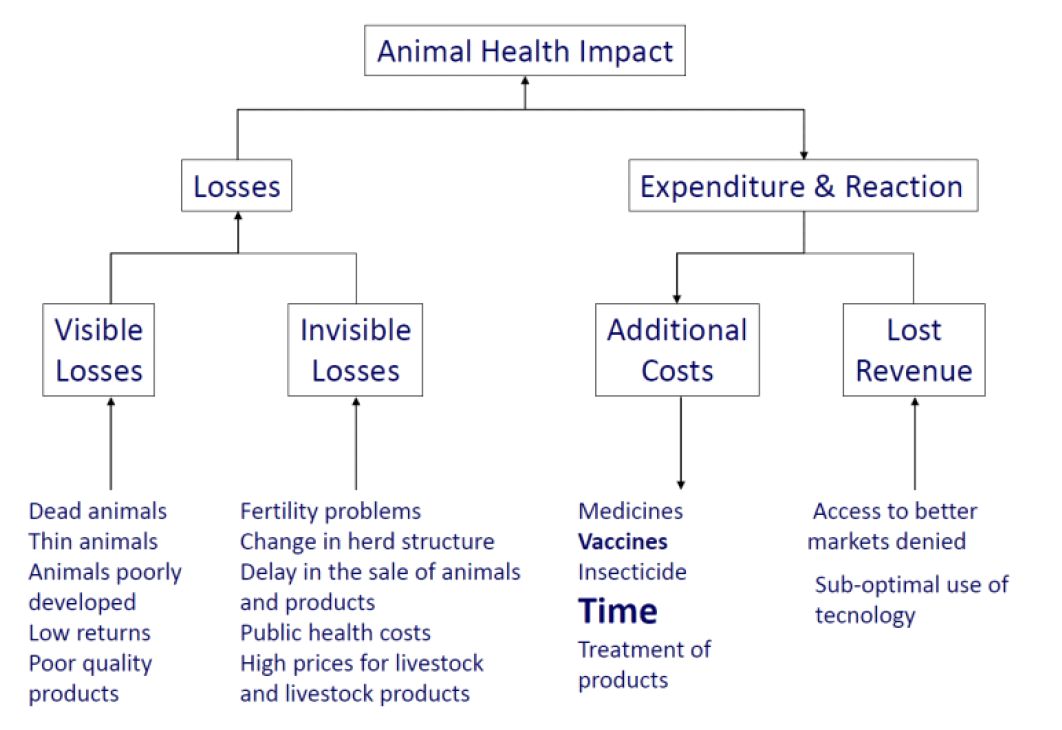 Figure 10 SAC Customer Satisfaction Survey – Sources of Advice and Usefulness to Business