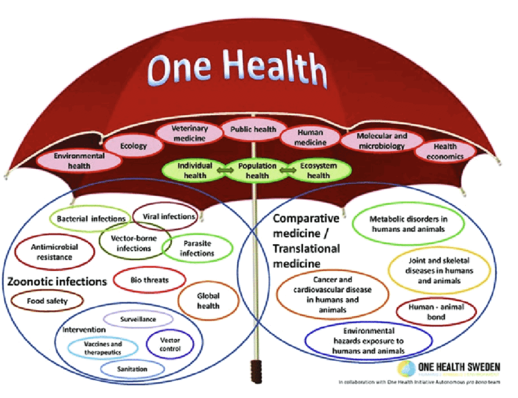 Figure 16 The One Health umbrella (Cassidy, 2018).