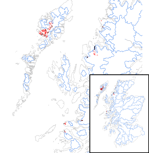 Map of West Coast SAC sites. Red shows the distribution of SAC Rivers, for river orders 2 – 4, black points show the 28 electrofishing sites.