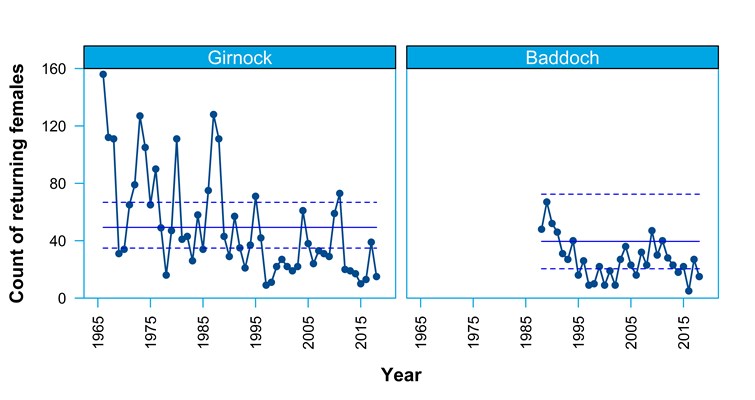 Numbers of adult female salmon returning to the Girnock and Baddoch traps.