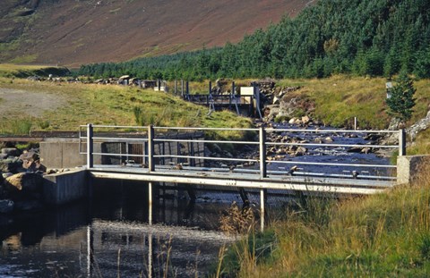 Baddoch burn fish trap