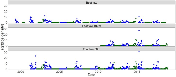 Density of sea lice (square root transformed) measuring by plankton tows in Loch Shieldaig 1999-2018. Green points are those in the first year of production, blue are in the second year.
