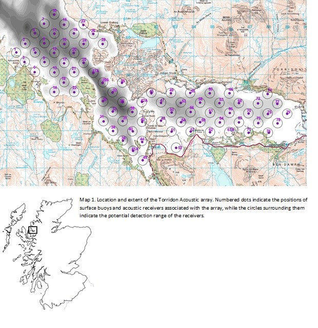 Torridon Acoustic Array