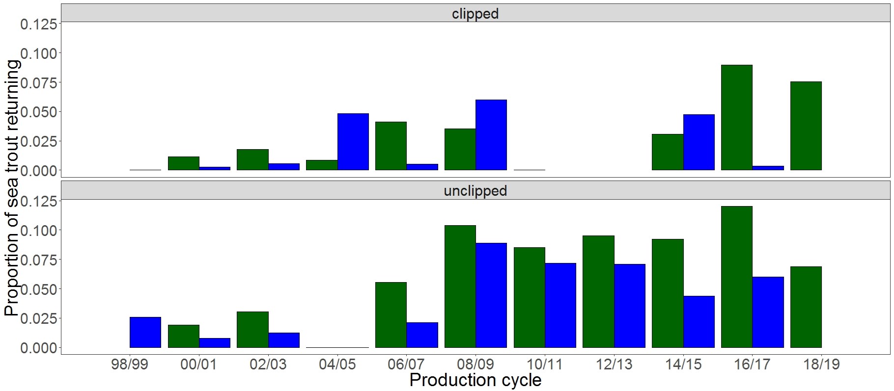 The proportion of marked sea trout of different origins returning to the River Shieldaig in relation to fish farm production cycles. Green bars are those in the first year of production, blue are in the second year. Data for clipped fish span 1999-2009 and 2014-2018, unclipped 1999-2018.