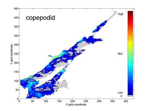 sea lice dispersal model