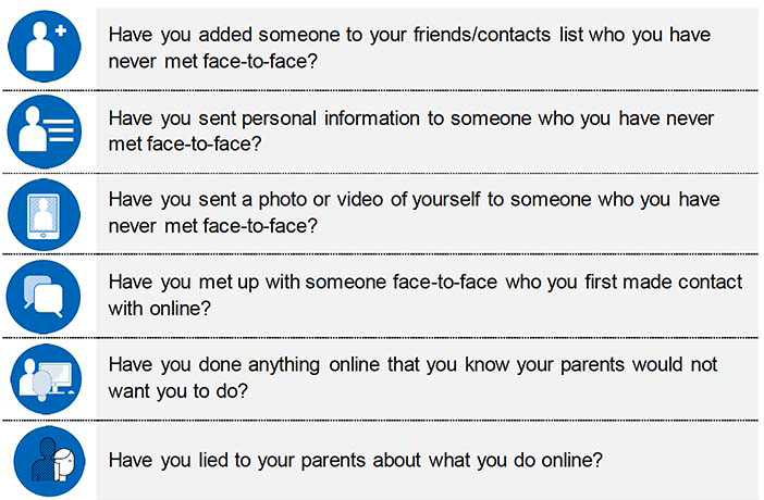 The six risky online behaviours measured