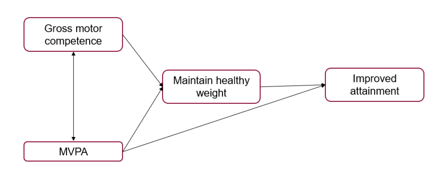 Figure 17 gives an example of how pathways may be drawn between short and intermediate-term outcomes