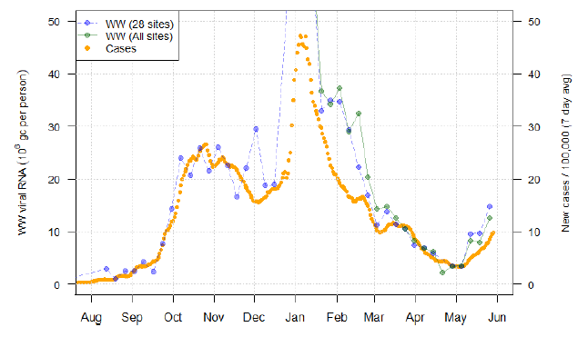 A line chart showing national average trends in wastewater Covid-19 and daily case rates.