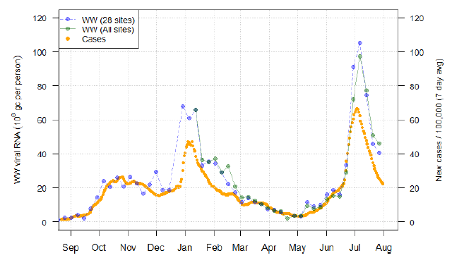 A line chart showing national average trends in wastewater Covid-19 and daily case rates.