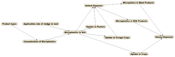 This figure shows a conceptual diagram describing the main factors that drive human exposure to microplastics and fibres originating from sewage sludge application.The model structure is broadly based around three main drivers of microplatic exposure; namely consumption of crops (this includes leafy vegetables, root vegetables, and cereals grown in soil amended with sewage sludge), consumption of milk products (milk, cheese, etc. sourced from cattle grazed on land amended with sewage sludge or cattle fed fodder crops grown on land amended with sewage sludge), and consumption of meat products (e.g. beef, lamb, pork etc. sourced from animals grazed on land amended with sewage sludge or animals fed fodder crops grown on land amended with sewage sludge).