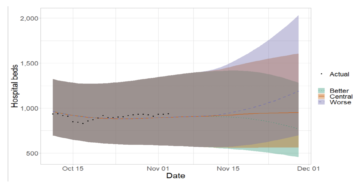 Figure 11. A line graph showing the short term forecast of hospital bed demand. 