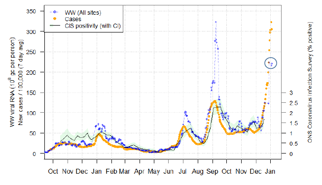 A line chart showing national average trends in wastewater Covid-19 and daily case rates.