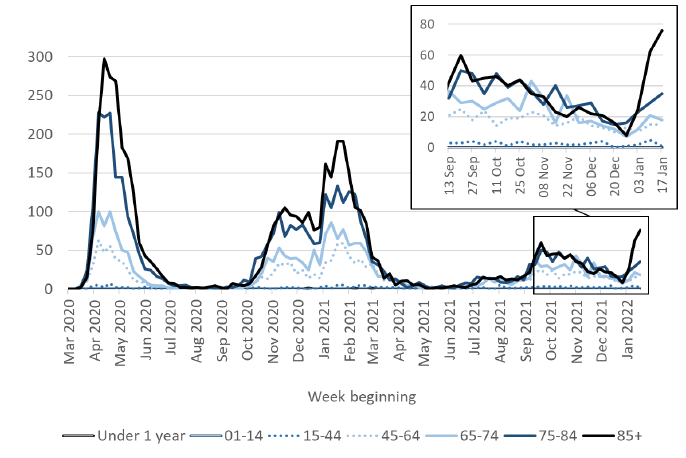 a line chart showing the weekly total of deaths per age group, using data from March 2020. Death numbers in all age groups above 44 peaked in April 2020, November 2020, January 2021 and September 2021. Deaths in the under 44 age groups remained very low throughout the whole period.