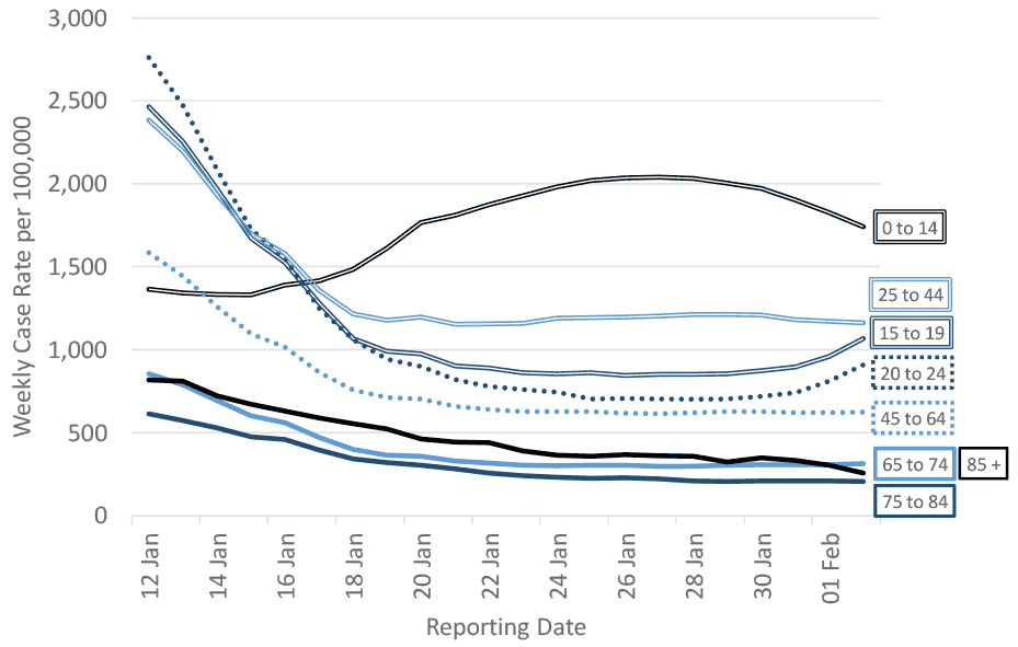 a line graph showing the weekly total PCR and LFD cases (by reporting date) per 100,000 people in Scotland by age group, from 12 January 2022 to 2 February 2022 (inclusively).