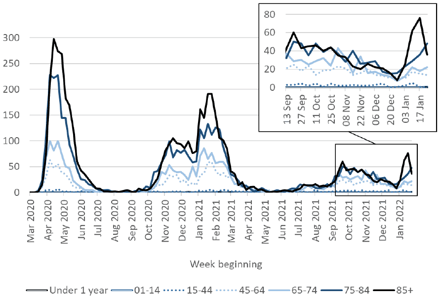 a line chart showing the weekly total of deaths per age group, using data from March 2020. Death numbers in all age groups above 44 peaked in April 2020, November 2020, January 2021 and September 2021. Deaths in the under 44 age groups remained very low throughout the whole period.