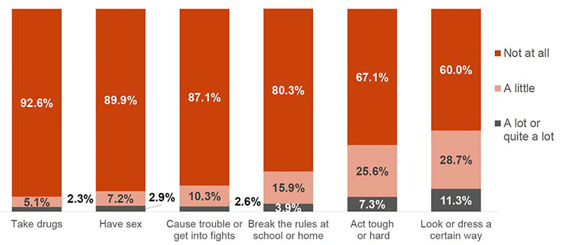 This chart shows the proportions of how pressured young people felt by their friends to do six different things (take drugs, have sex, cause trouble or get into fights, break the rules at school or home, act tough or hard, look or dress a certain way). 80.3%– 92.6% of young people said they felt “not at all” pressured to take drugs (92.6%), have sex (89.9%), cause trouble or get into fights (87.1), or break the rules at school or home (80.3%), and 60.0%– 67.1% said they felt “not at all” pressured to act tough or (67.1%) look or dress a certain way (60.0%).
