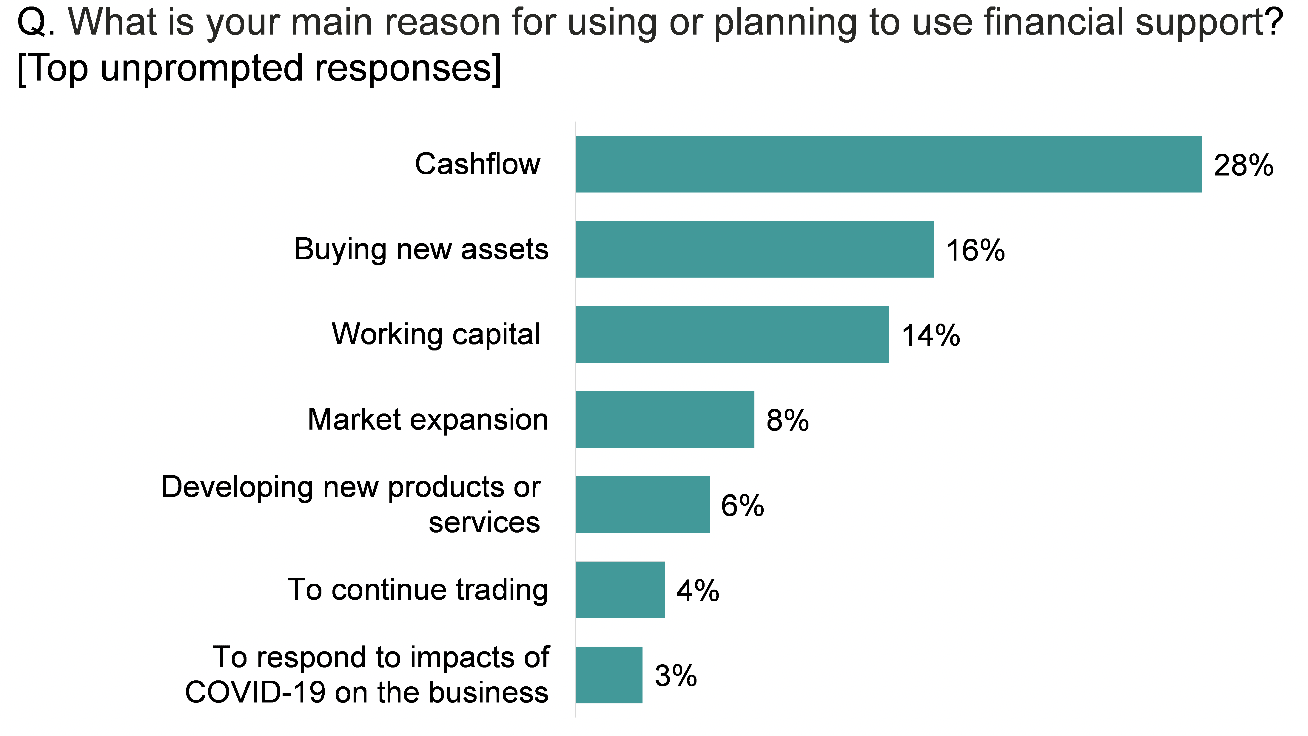 Bar chart showing that cashflow was the main reason for businesses to use or planning to use financial support, followed by buying new assets